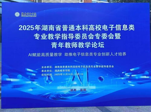 聚智同行，共促成長 小眼睛科技受邀亮相2025湖南省電子信息學術年會